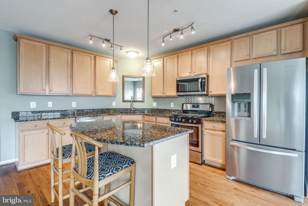 42595 Cardinal Trace Terrace, Ashburn, VA 20148 - photo 1