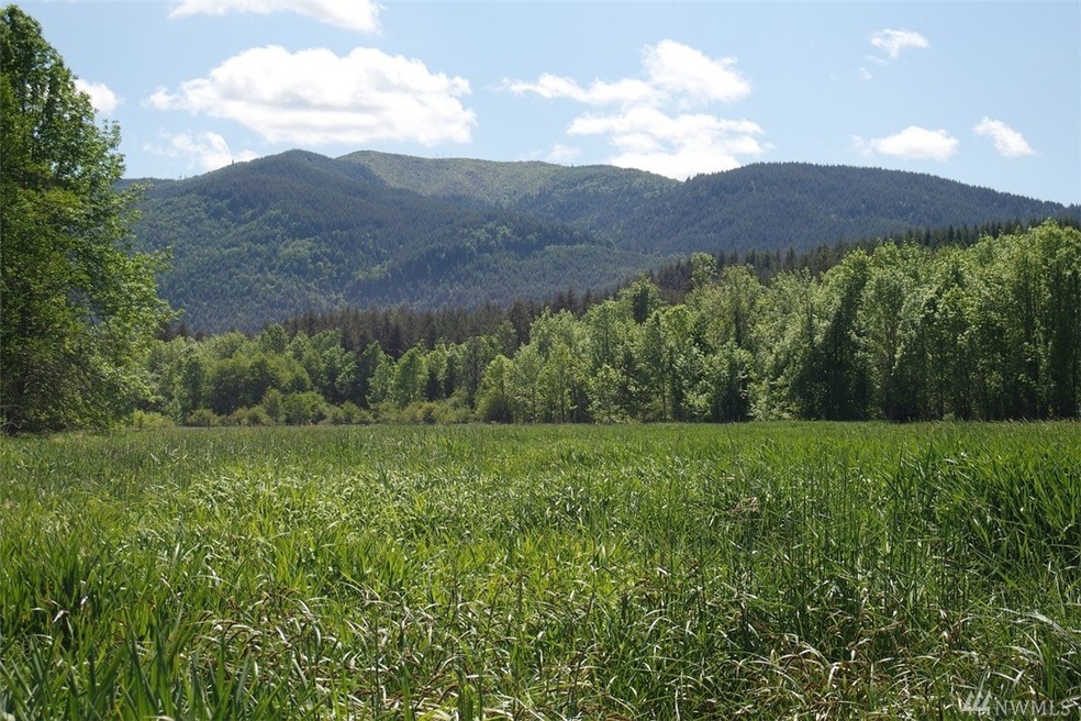 18333 Bald Hill Rd SE, Yelm, WA 98597 - photo 1