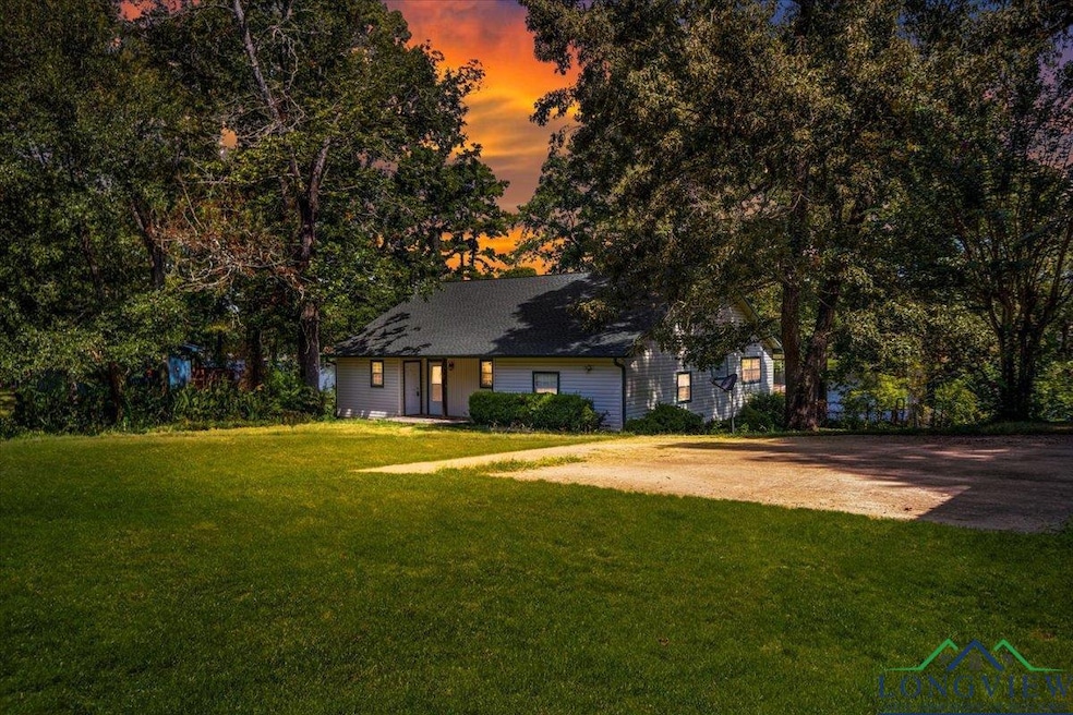 20009 Southside Cir, Winona, TX 75792 - photo 1