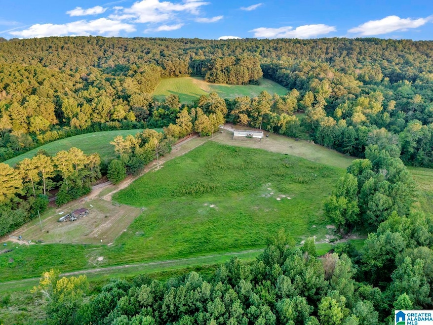 310 MacK James Rd, Empire, AL 35063 - photo 1