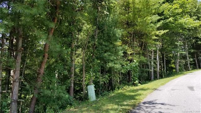 Possible gradual driveway location from High Bluff