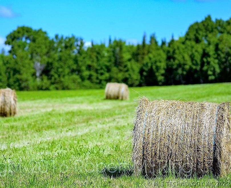 0 Mt Calvary Rd unit 2019314, Hendrix, OK 74741 - photo 1