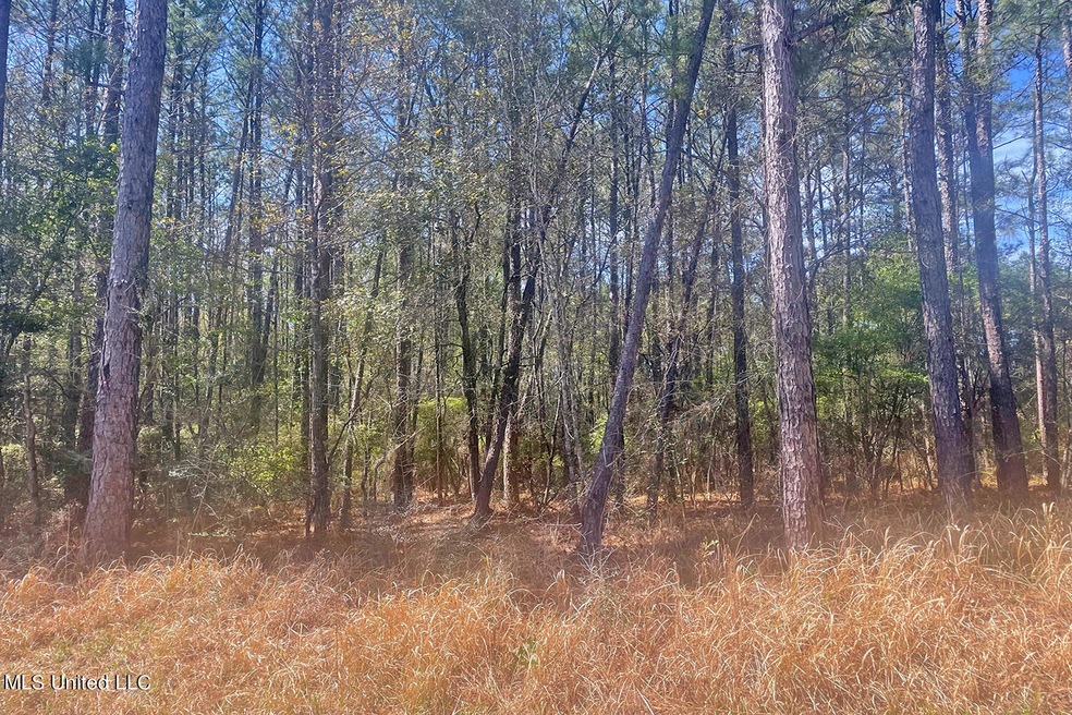 1.5 Acres Barton Agricola, Lucedale, MS 39452 - photo 1