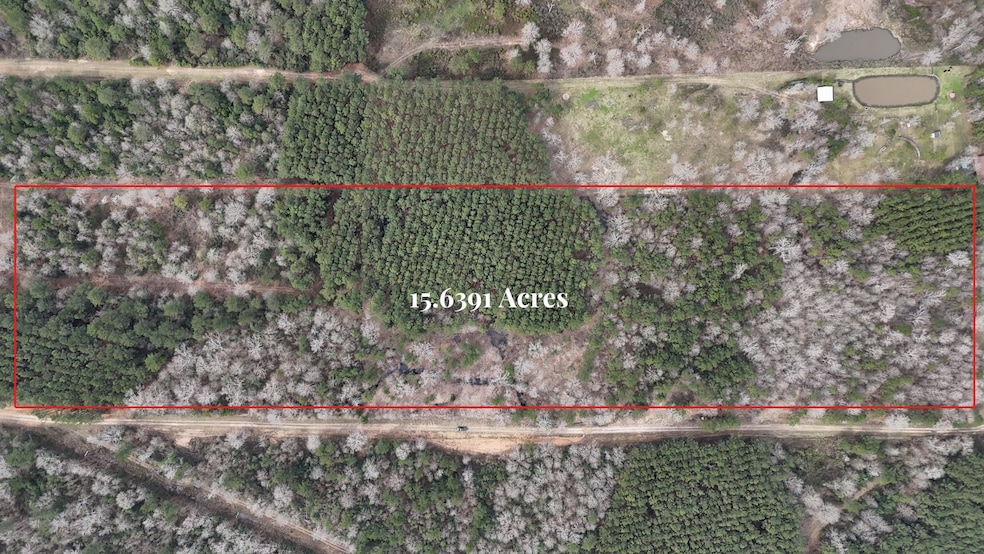 0 County Line Rd unit 15374642, Shepherd, TX 77371 - photo 1