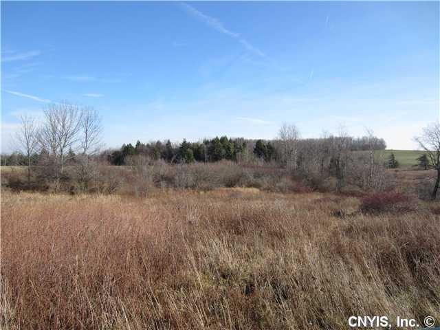 Land. Looking @ triangle-shaped property (see tax 