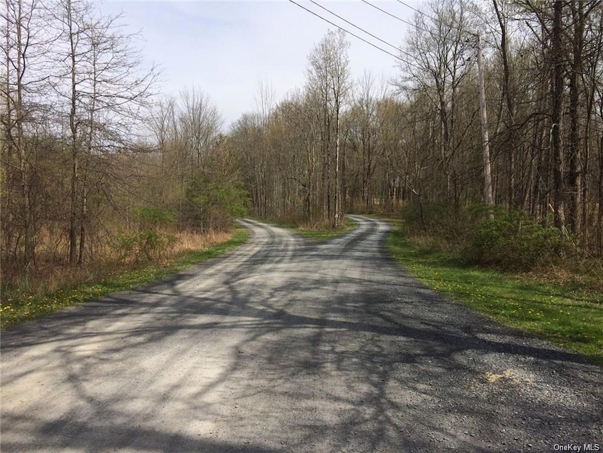 0 Youngblood Rd unit H6094179, Crawford, NY 12549 - photo 1