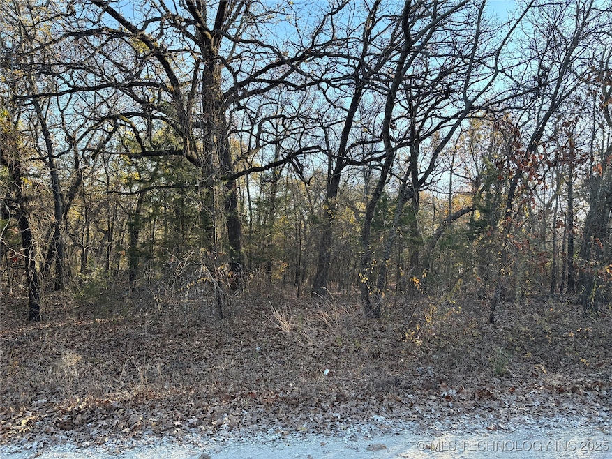 0 W Spruce St, Mead, OK 73449 - photo 1