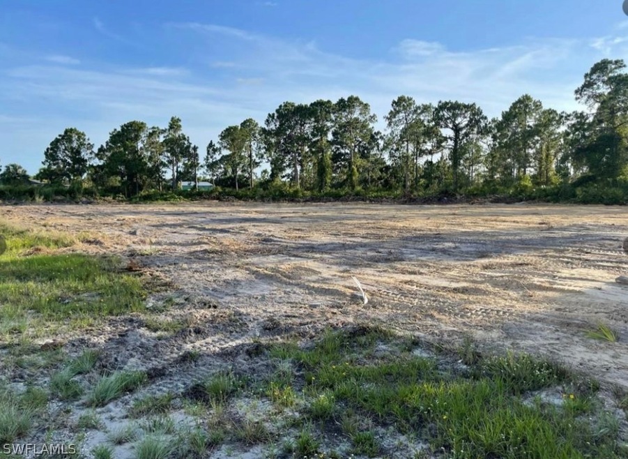 6009 Ruth Ave N, Lehigh Acres, FL 33971 - photo 1