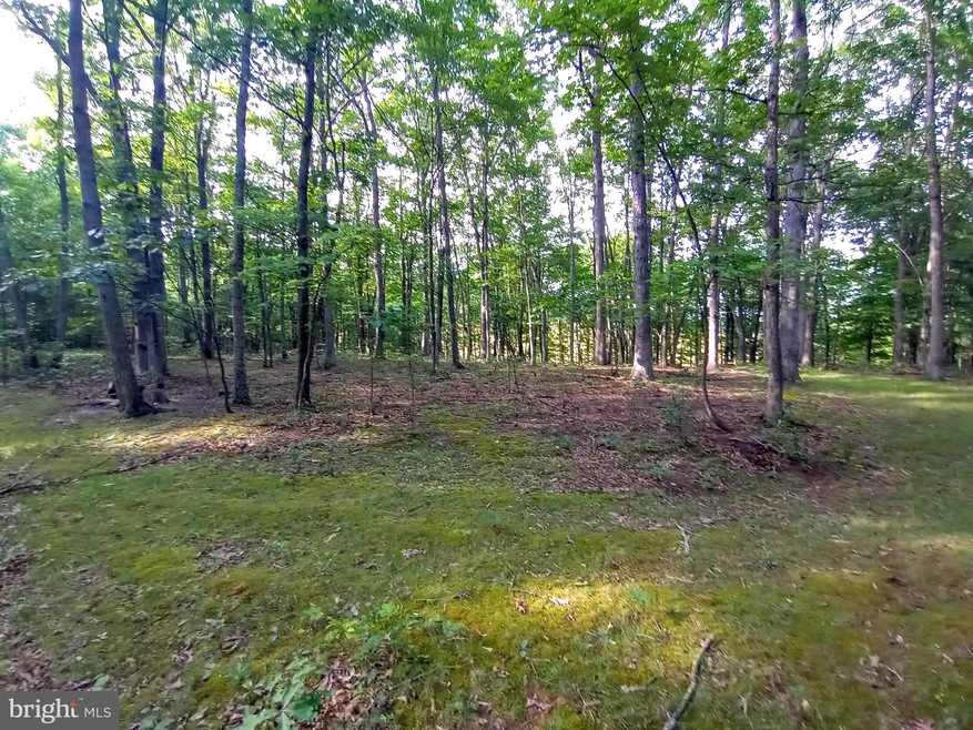 0 7 35 Acres Ash Ruckman Rd, Augusta, WV 26704 - photo 1