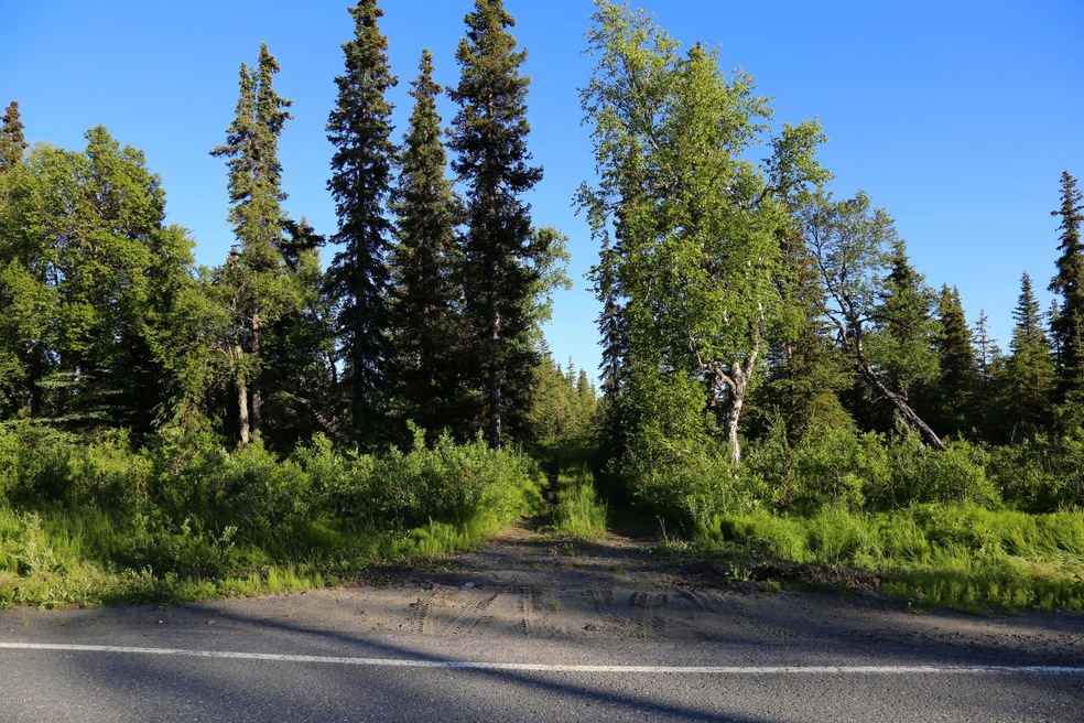 Stone River Lot 6 (6)