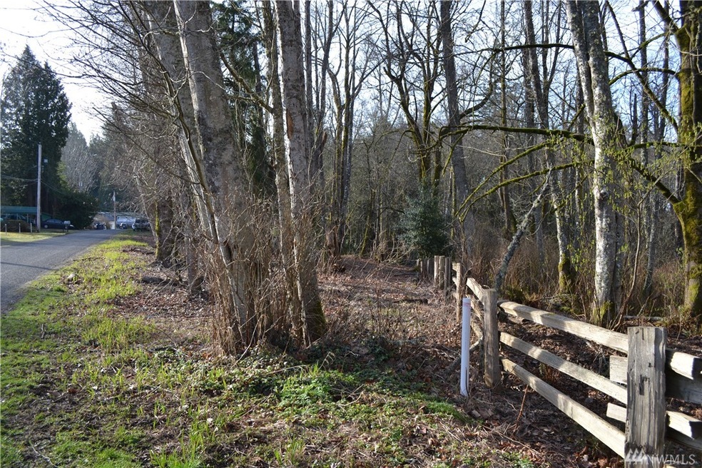 0 Lake Sixteen Rd, Mount Vernon, WA 98274 - photo 1