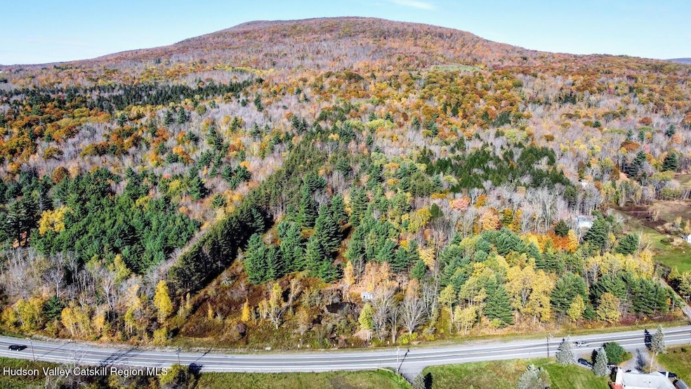 0 Route 23a unit 20254113, Hunter, NY 12442 - photo 1