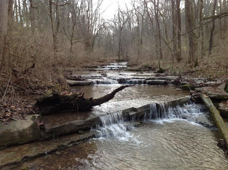 262 Oregon Rd, Versailles, KY 40383 - photo 1