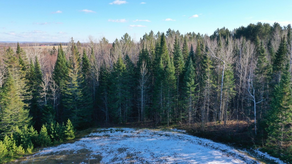 DJI_0223