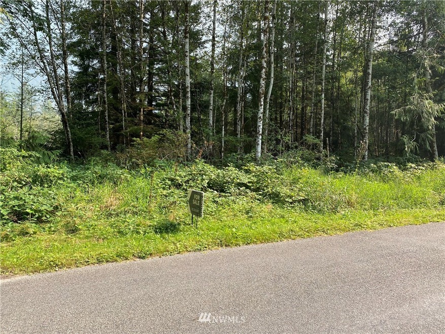 unlisted-address, Arlington, WA 98223 - photo 1