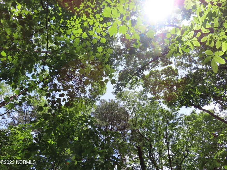 0 Mt Lebanon unit 100339333, Troy, NC 27371 - photo 1