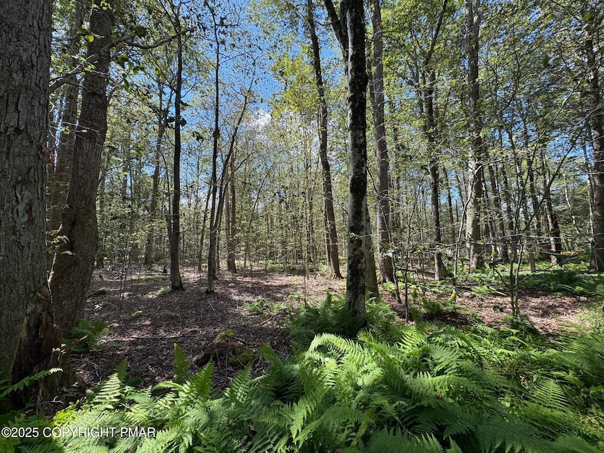 0 Gross Dr, Pocono Pines, PA 18350 - photo 1