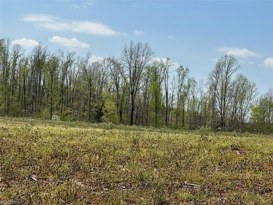 Tract 1 Gallimore Dairy Rd, Denton, NC 27239 - photo 1