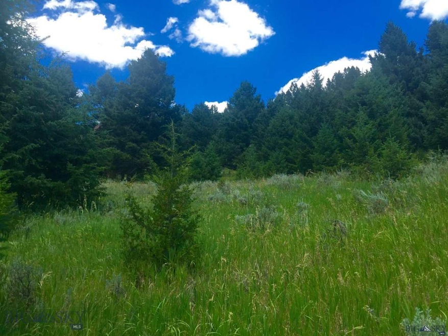 0 Two Gun White Calf unit 219116, Big Sky, MT 59716 - photo 1
