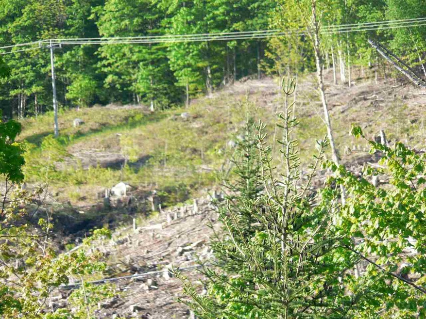 0 Mill Ln, Barton, VT 05822 - photo 1