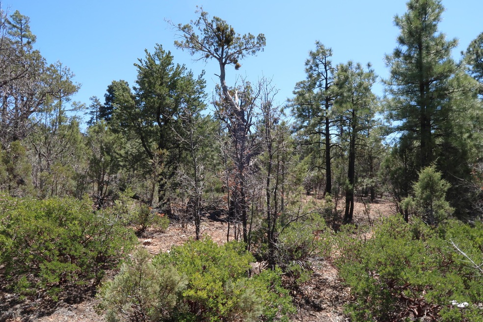 Lot View