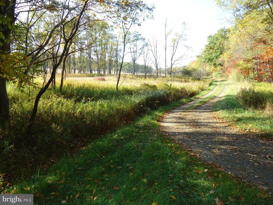 0 Off Rt 93 unit 1001173213, Mount Storm, WV 26739 - photo 1