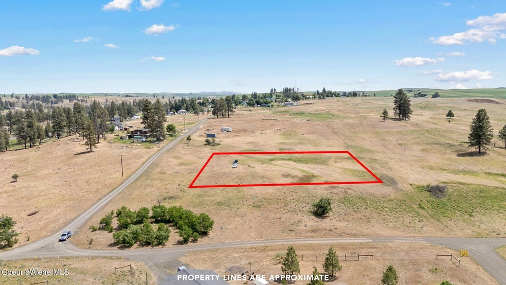 NNA 3rd State Route, Malden, WA 99149 - photo 1