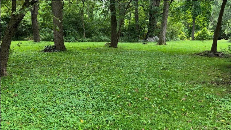 0 Woodland Ln unit 50163334, East China, MI 48054 - photo 1