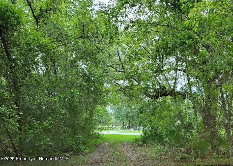 9001 Treiman Blvd, Rdg Mnr Est, FL 33597 - photo 1