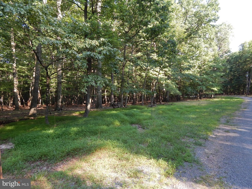 103A Sideling Mountain Trail, Great Cacapon, WV 25422 - photo 1
