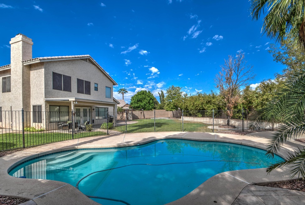 Back Yard and Pool