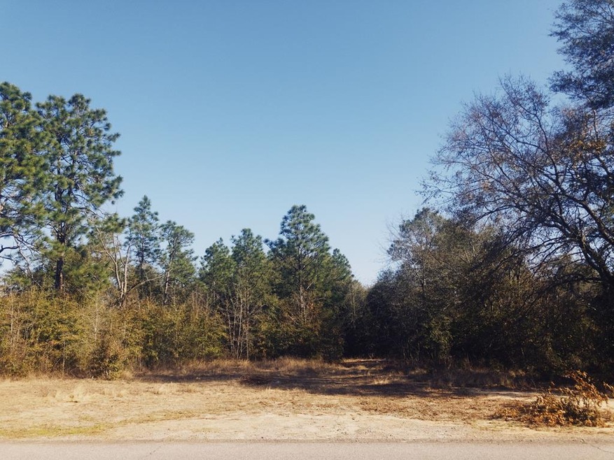 2113 Faircrest Ave, Augusta, GA 30906 - photo 1