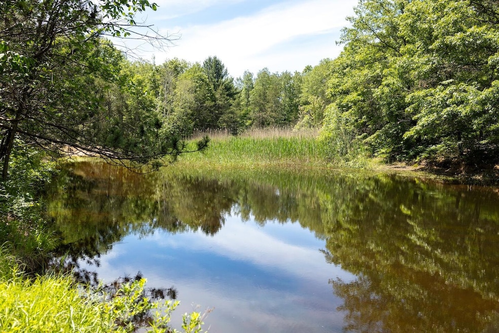 00 V/L W 13 Mile Rd unit Par E, Bitely, MI 49309 - photo 1