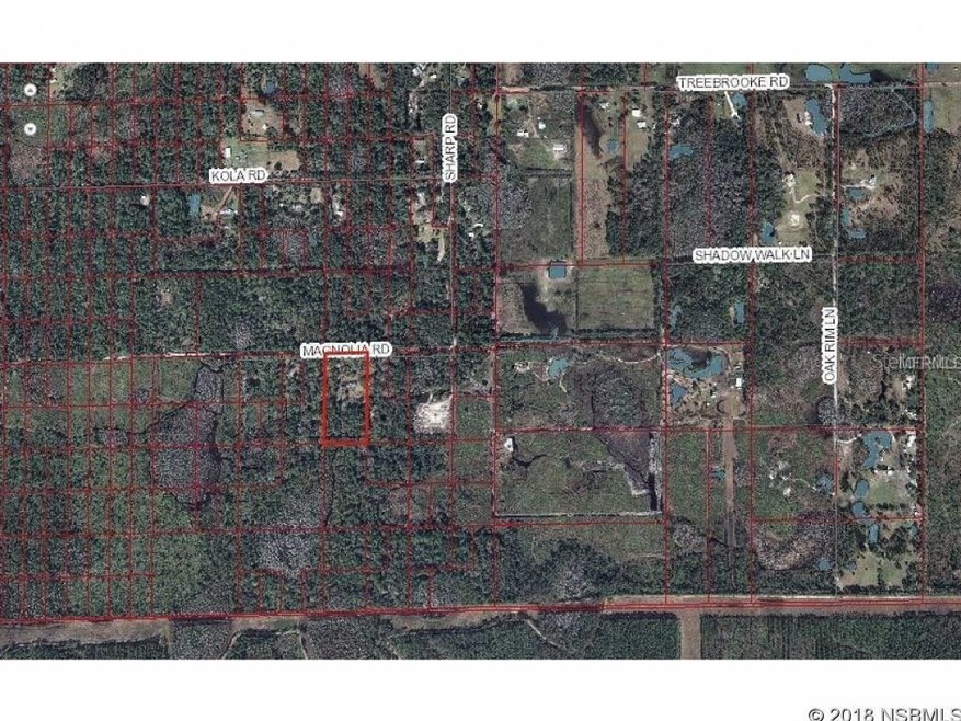 4636 Magnolia Rd, New Smyrna Beach, FL 32168 - photo 1