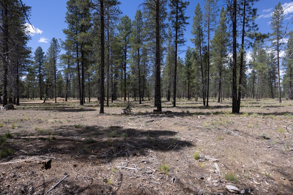 Caldera Homesite