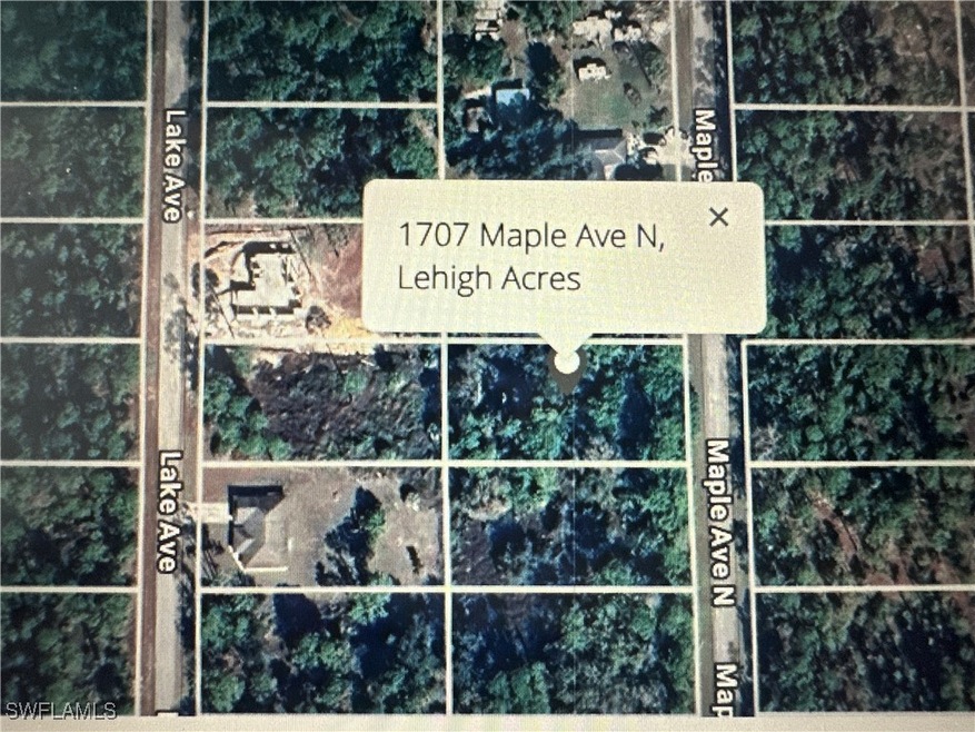 1707 Maple Ave N, Lehigh Acres, FL 33972 - photo 1
