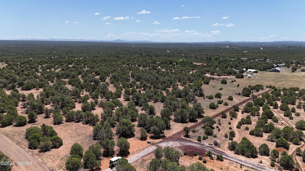DJI_20240706114151_0032_D