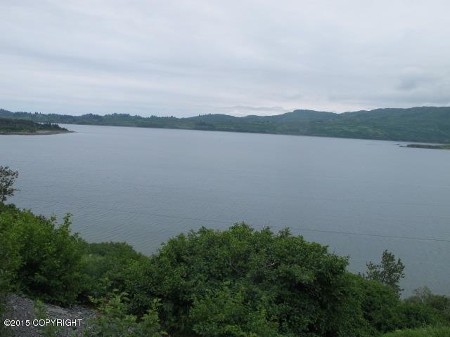 IMG_3275 (Small)