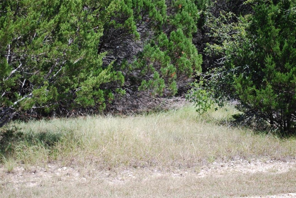 8124 High Mesa Dr, Whitney, TX 76692 - photo 1