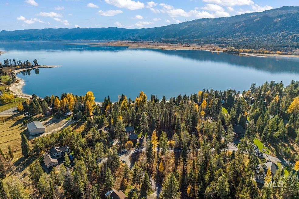 Aerial view of a water and mountain view