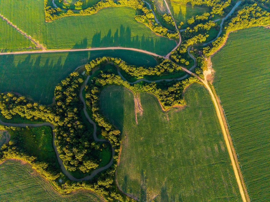 + - 705 Acres unit Tallahatchie County, Drew, MS 38944 - photo 1