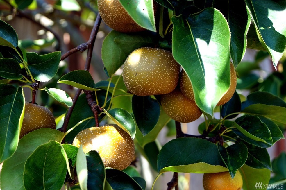 203 Kansas St SW, Orting, WA 98360 - photo 1