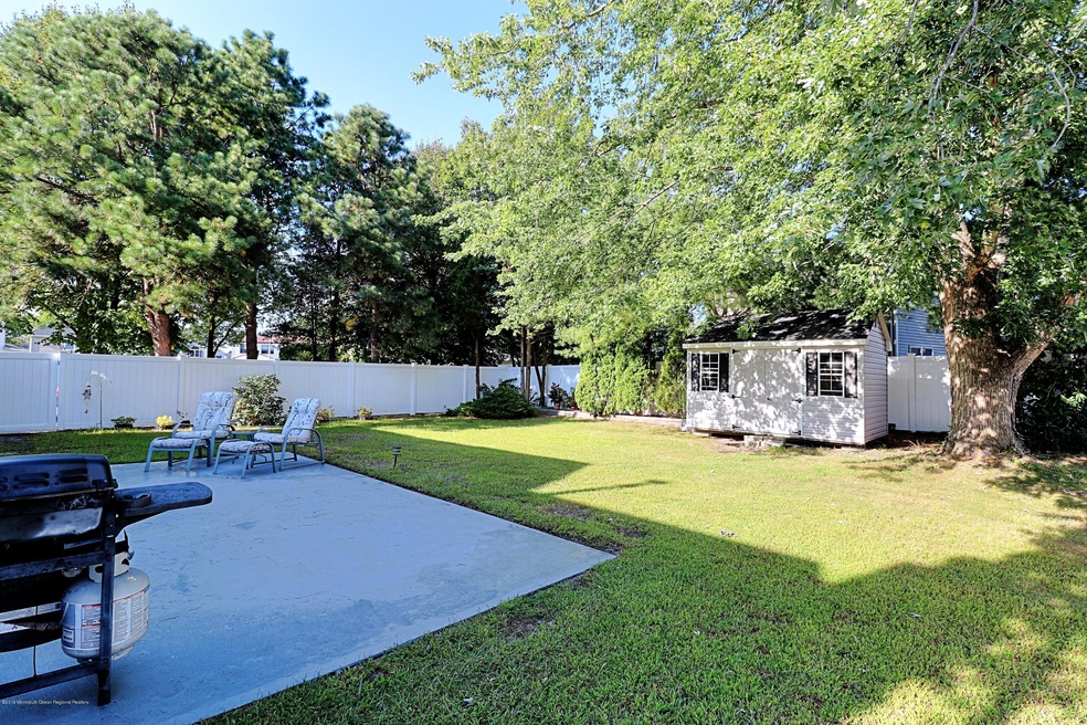 backyard_1