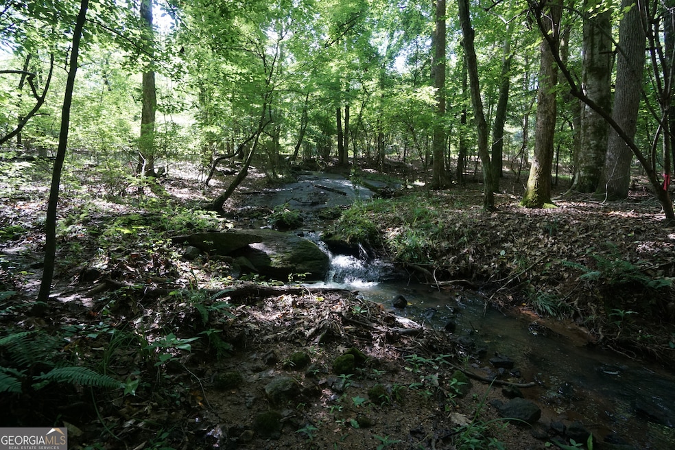 0 Springdale Dr unit 10647918, Palmetto, GA 30268 - photo 1