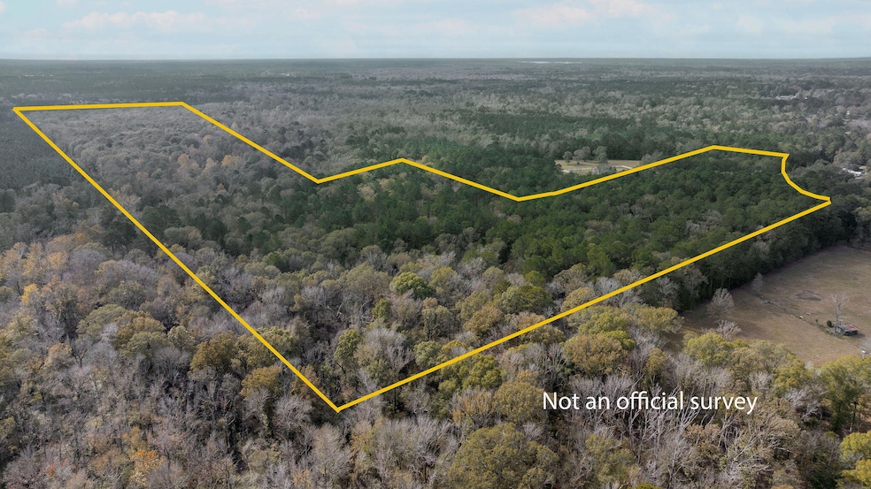 0 W Hawthorne Rd unit Rd, Leesville, LA 71446 - photo 1