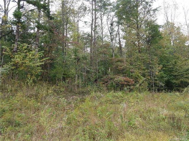 Tract 17 Red Rider Ln, Smyrna, SC 29743 - photo 1