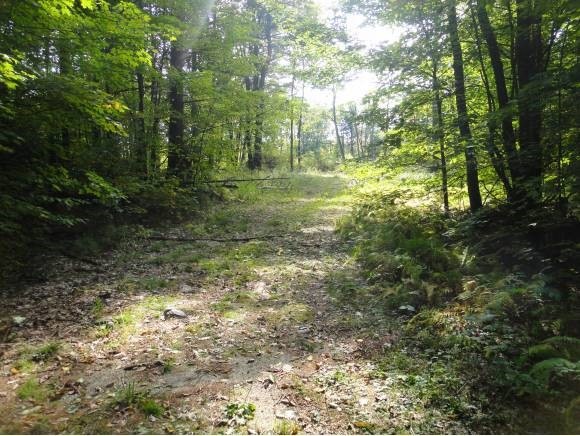 0 Federal Corner Rd, Tuftonboro, NH 03816 - photo 1