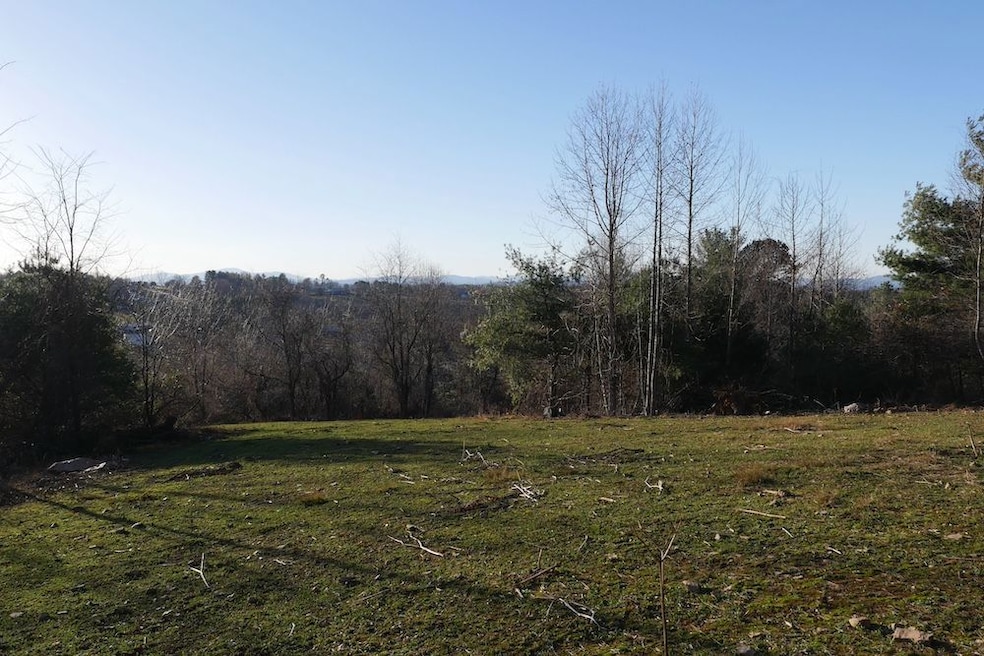 0 Trapper Dr unit LotWP001, Woodlawn, VA 24381 - photo 1