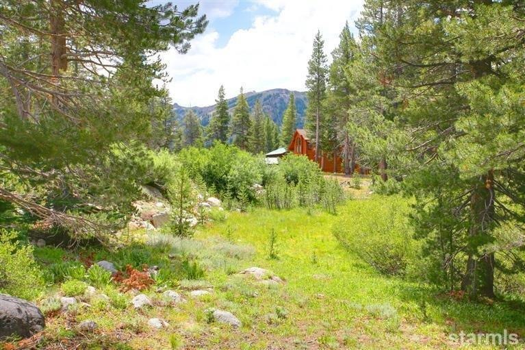 View from left side of lot along building envelope - facing south with ski mountain across the Kirkwood valley.