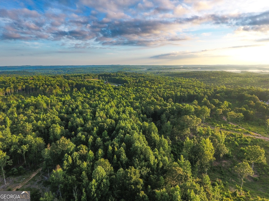 0 Roy Dean Rd unit 10564383, Buchanan, GA 30113 - photo 1